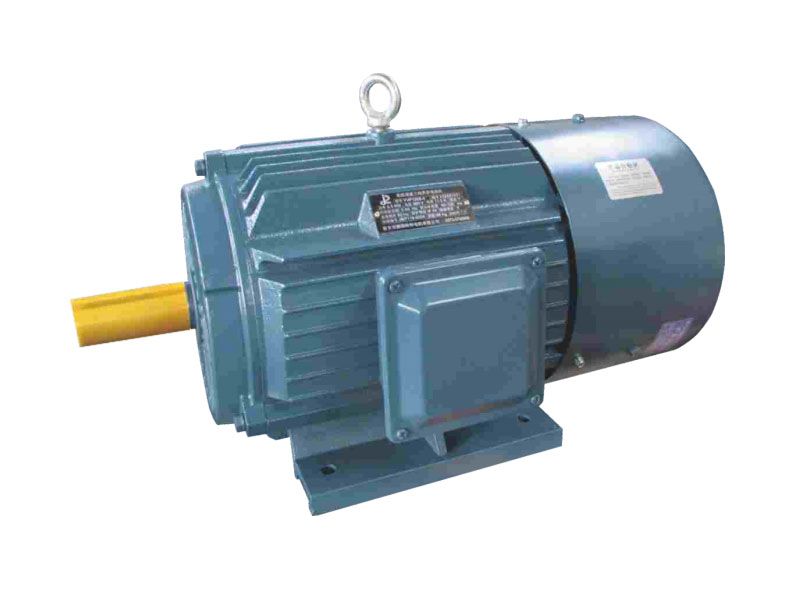 YPG系列變頻輥道用電機